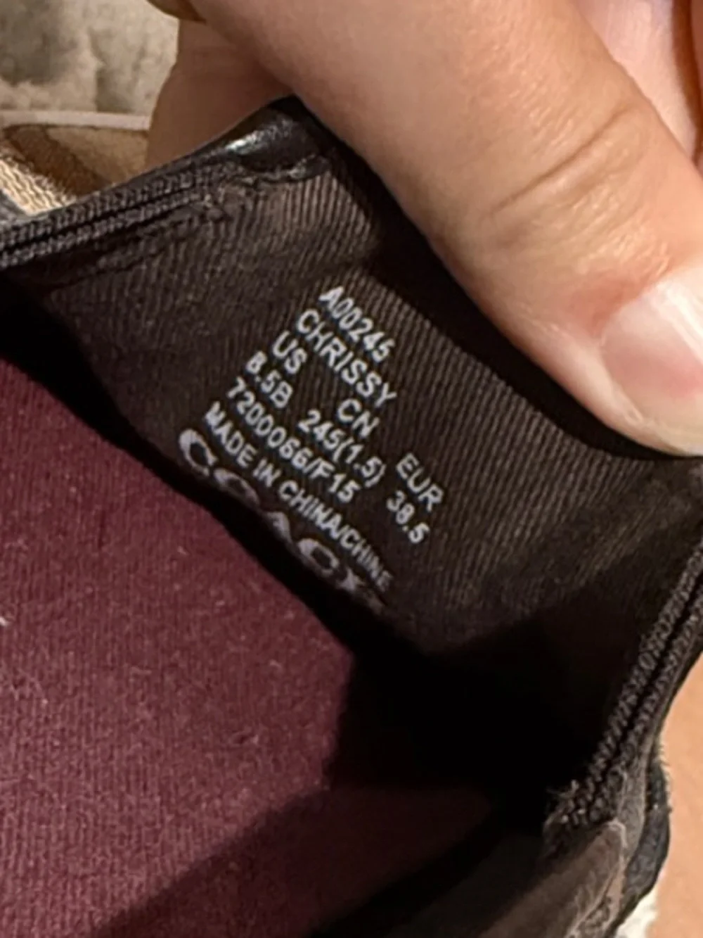 COACH Chrissy Sneakers in Brown
